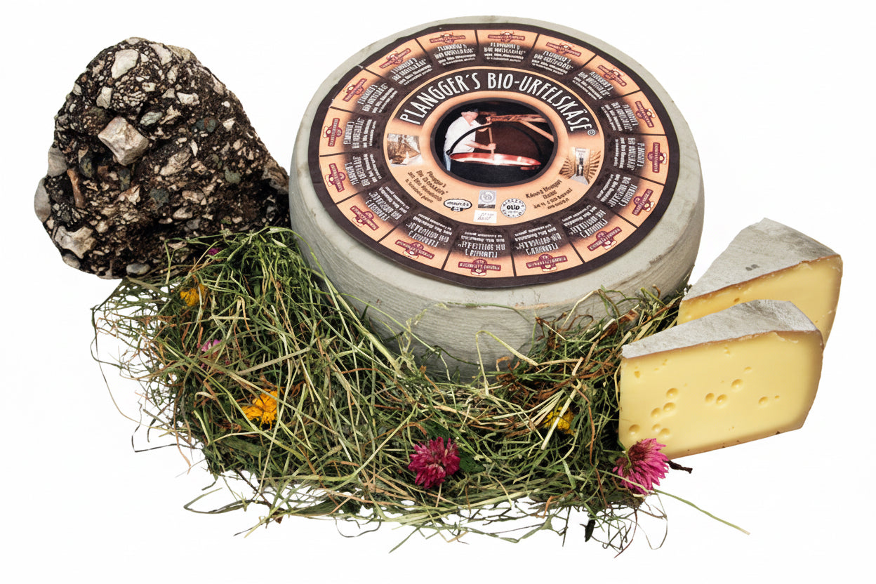 Käserei Plangger Tiroler Bio Urfelskäse Rässkäse Laib und kleinere Stücke 230g